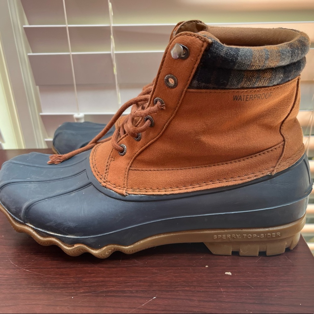 Mens Sperry boots